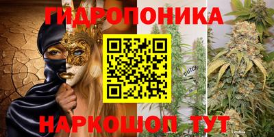 крисы Ярославль