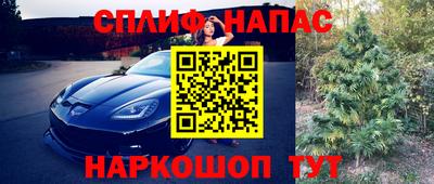 крисы Ярославль