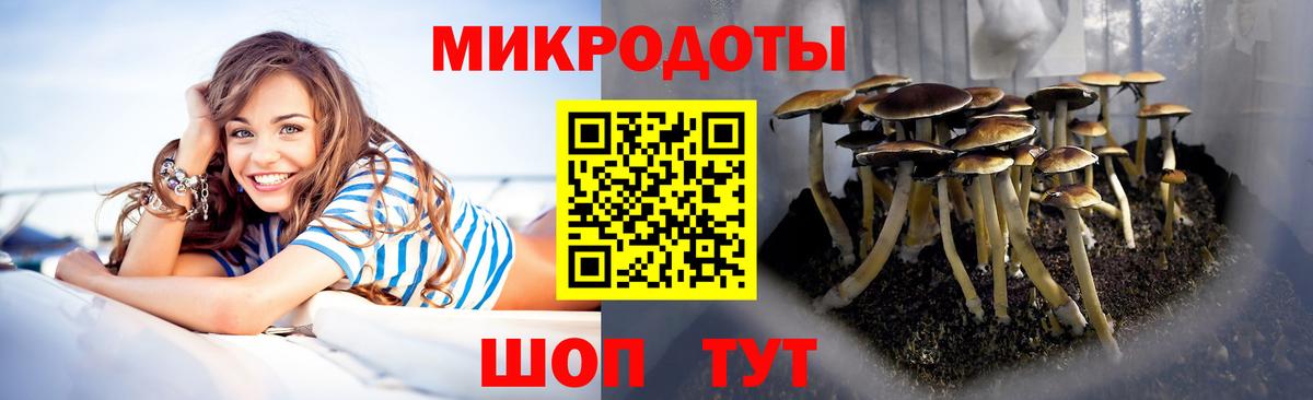 Псилоцибиновые грибы Psilocybine cubensis  Псилоцибиновые грибы GOLDEN TEACHER  Светлоград  Вход с VPN 